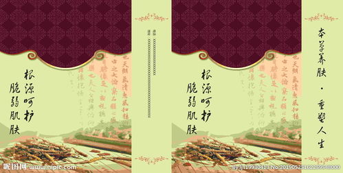 中药中医手提袋展开图图片