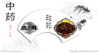 中药图片