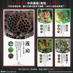 中药展板图片