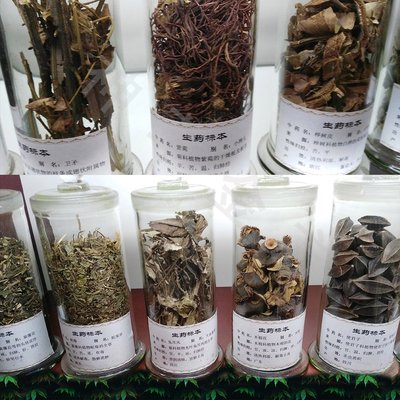 神草金方手工制作中药材标本 中医药标本馆展品 中药文化产品