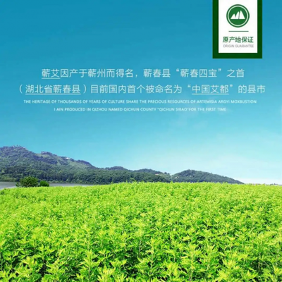 重磅上新丨湖北蕲艾堂“会呼吸的艾草贴”正式上市!