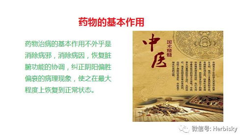 中医中药 一些简明扼要的中药知识不易得到,得到了就赶紧看吧