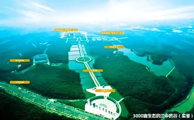江中制造文明:细节打造品质_央广网