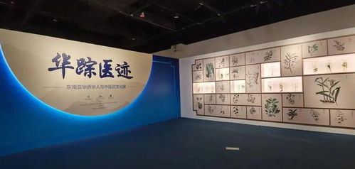 现代中医药走向世界 中医药在东南亚是如何传播的