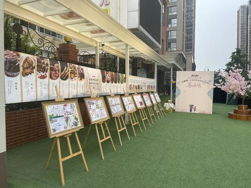 郑州市金水区多举措推动中医药文化进校园