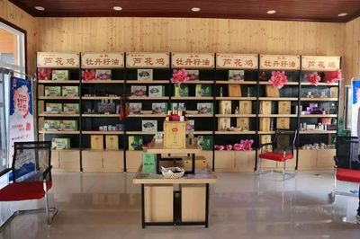 行业|东阿创新实践发展 搭建文旅融合综合性载体