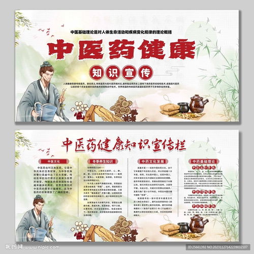 中医药健康知识宣传设计图